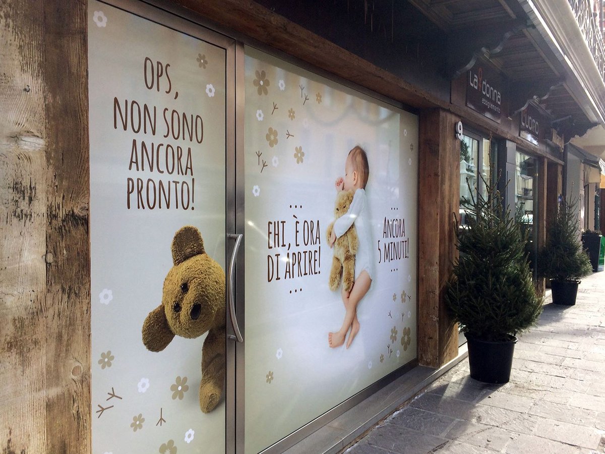 Vetrina Orso Dino